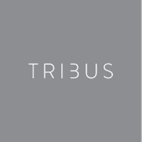 Tribus Digital Logo